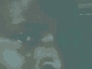 fredko (fredko)